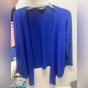 Blue Women's Sweater
